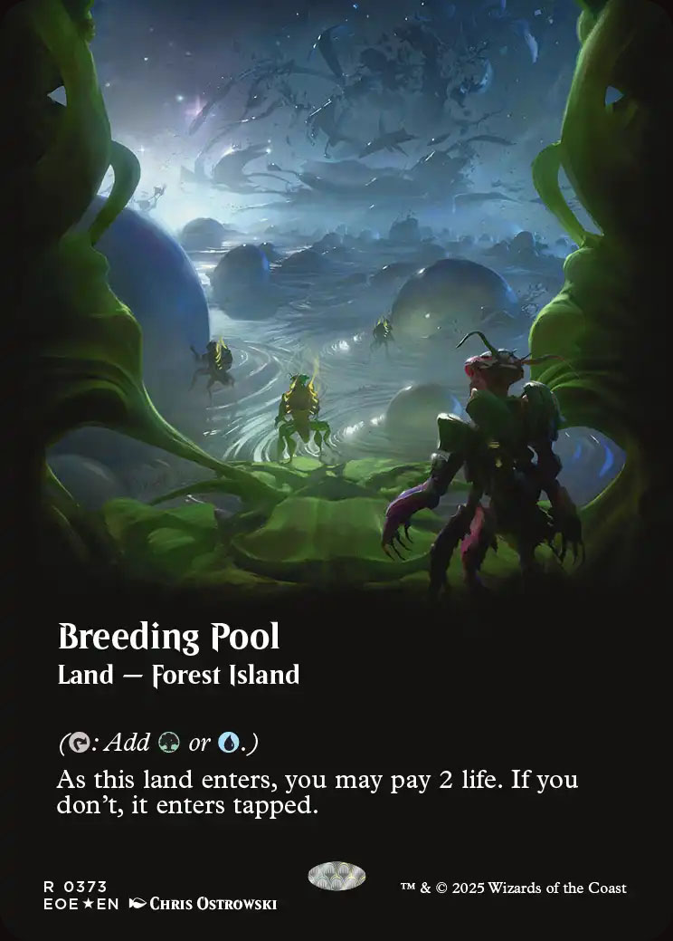 繁殖池/Breeding Pool  DIS英語foil 繁殖池/Breeding Pool DIS英語foil 繁殖池/Breeding Pool DIS