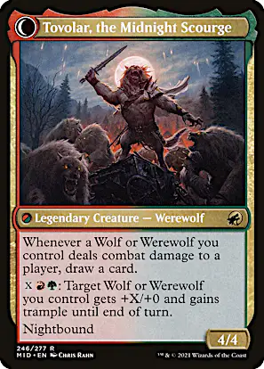 wolf commander deck mtg Wanting to build a standard for fun that takes advantage of the synergy Tolsimir Wolfblood WOLVES Commander Deck