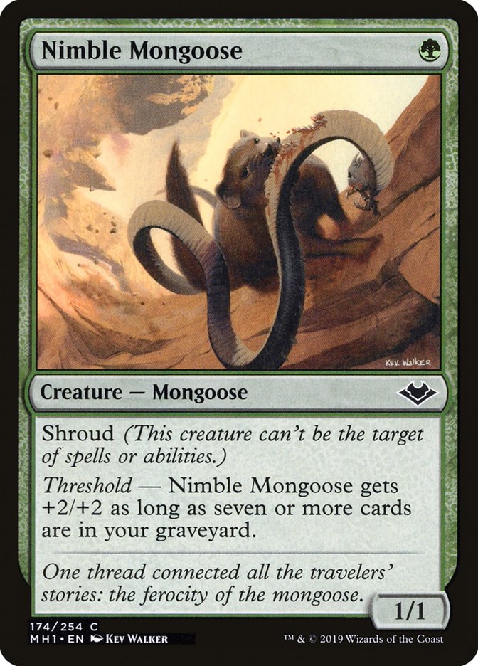 Ancient Tomb | Zendikar Rising Expeditions Foil | Card Kingdom