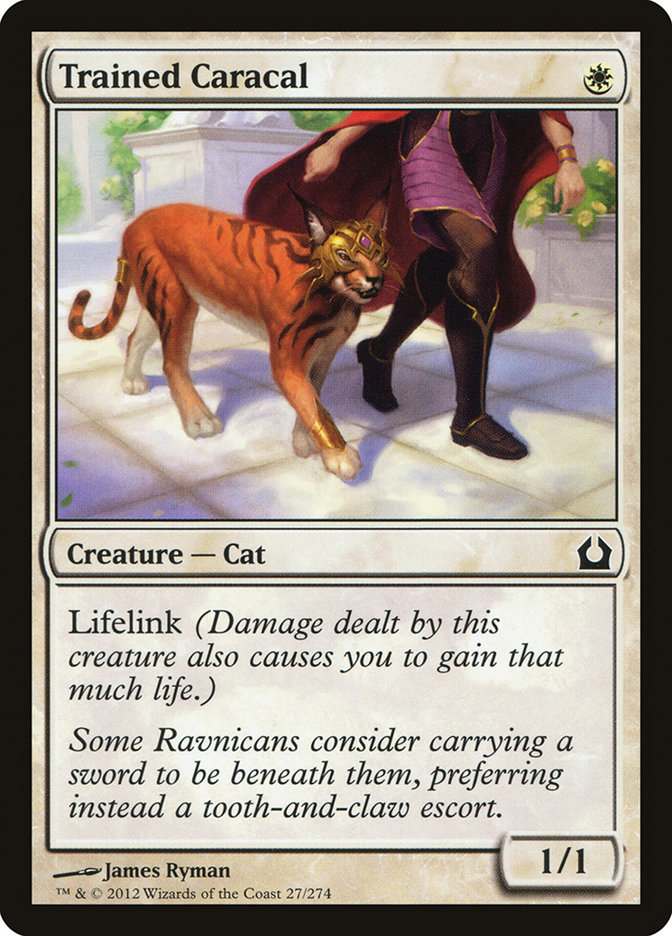 Savannah Lions | Foundations Foil | Standard | Card Kingdom