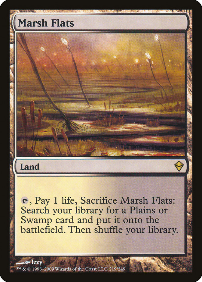 MTG Arid Mesa 乾燥台地　Zendikar Expeditions Arid Mesa - Zendikar Expeditions - Magic: The Gathering